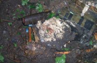В Луганской области подросток подорвался на детонаторе