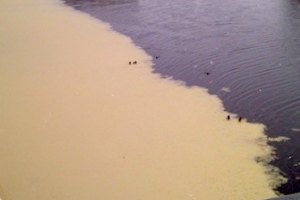 В Киевводоканале говорят, что желтые пятна на Днепре - обычная шуга