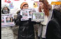 Кабмин пикетируют люди с собаками