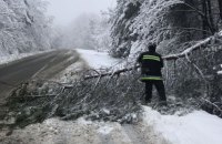 Непогода обесточила 84 населенных пункта в четырех областях