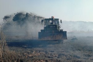 Площадь тлеющих под Киевом торфяников уменьшилась