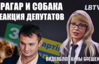 Брагар и собака. Реакция депутатов. Видеоблог Анны Стешенко