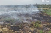 На Одещині ліквідовують наслідки займання сухостою та очерету площею 8 гектарів