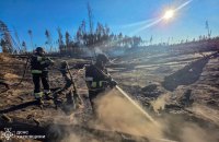 На Харківщині вирують лісові пожежі: вогонь охопив близько 86 гектарів