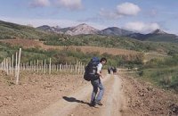 Эксперты об отдыхе на майские: Турция, "рюкзачный" Крым и Долина нарциссов