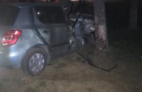 В Ужгороде пьяная водитель въехала в дерево, погибла 19-летняя девушка