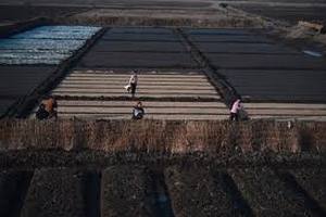 Экономика КНДР выросла второй раз за шесть лет