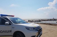 В Бердянске в штормящем море бабушка утонула, спасая внуков
