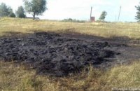 Під Харковом 6-річна дитина загинула, граючись із сірниками в соломі