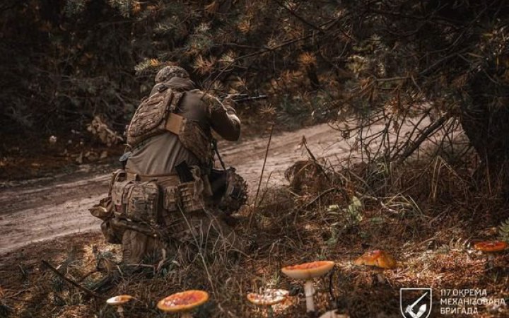 Сили оборони: російська армія намагається закріпитися в острівній зоні на Херсонському напрямку
