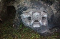 На Волыни пограничники со стрельбой задержали "колонну" контрабандистов с мясом