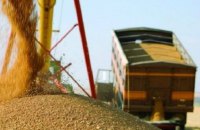 Німецький уряд вирішив прискорити експорт зерна з України