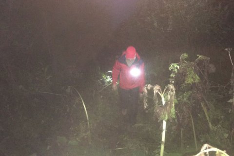 На Закарпатті рятувальники знайшли мертвим чоловіка, який пішов по гриби