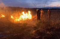 В Долине нарциссов на Закарпатье начался пожар