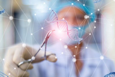 Ученые доказали, что CRISPR можно использовать для эффективного лечения рака у животных