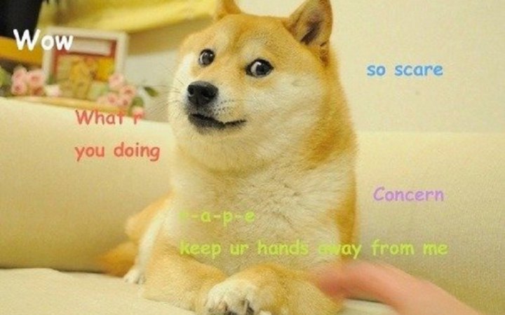 Twitter змінив логотип із пташкою на собаку-мем Doge