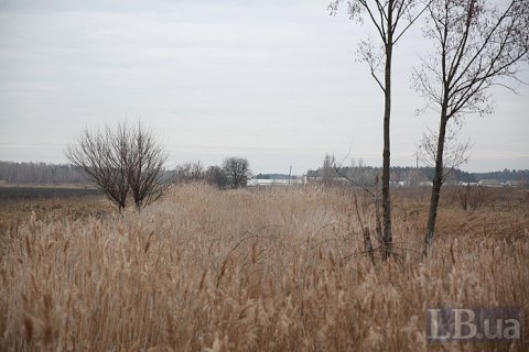 У п'ятницю в Києві без опадів, вдень до -3 градусів