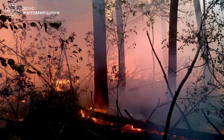 На Житомирщині горить ліс на території заповідника "Древлянський"