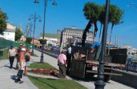 В "Киевзеленстрое" рассказали, куда дели деревья, посаженные к Дню крещения Руси