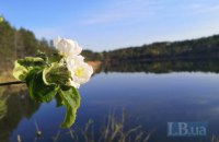 Гранітні кар’єри Коростишева