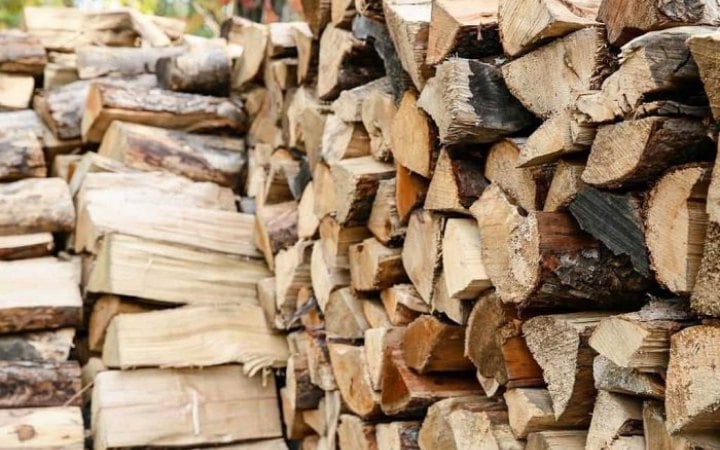 В Україні створено рекордний запас дров, – Держлісагентство
