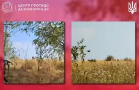 Пропагандисти РФ поширюють відео, на якому ЗСУ нібито розміновують поля полоненими окупантами
