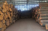 У Львівській області розкрили схему з експорту лісу