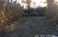 ​В Запорожской области нашли плантацию конопли с растяжками и охранниками