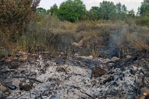 У Дніпрі горів сухостій на території 3 гектарів