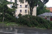 Из-за ливня мост в Каменец-Подольском превратился в водопад