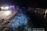 На Львівщині перекинувся автобус, постраждало 14 осіб