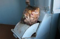 Грязное  соседство: Зачем нужны мусоропроводы в многоэтажках?
