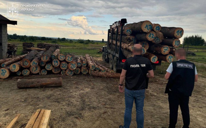 На Львівщині викрито схему незаконної вирубки лісу на 9 млн грн