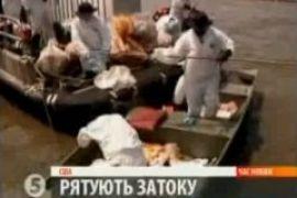 Спасение Мексиканского залива 