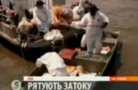 Спасение Мексиканского залива 