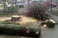 «Закатать в асфальт»