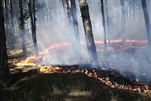 Под Ялтой начался пожар