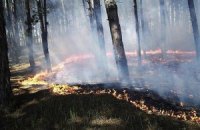Под Ялтой начался пожар