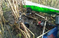 В Житомирской области на поле с подсолнухами упал дельтаплан, пилот погиб