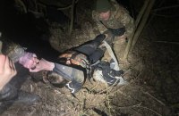 Прикордонники витягли напівпритомного чоловіка з річки Тиса