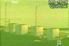 На "Фукусиме" начало плавиться ядро реактора