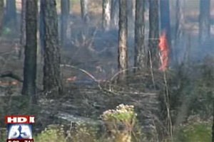 Летевший за сердцем хирург разбился при падении вертолета во Флориде