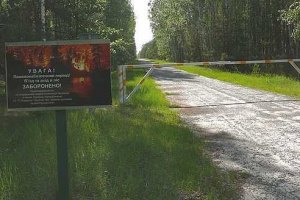 На дороги к охотничьим угодьям Януковича потратили 100 млн