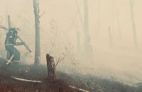 У Чернівецькій області триває гасіння загоряння лісової підстилки на площі 7 га  у національному природному парку