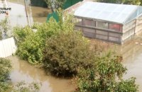 У Голій Пристані критична ситуація через неможливість утилізувати трупи тварин