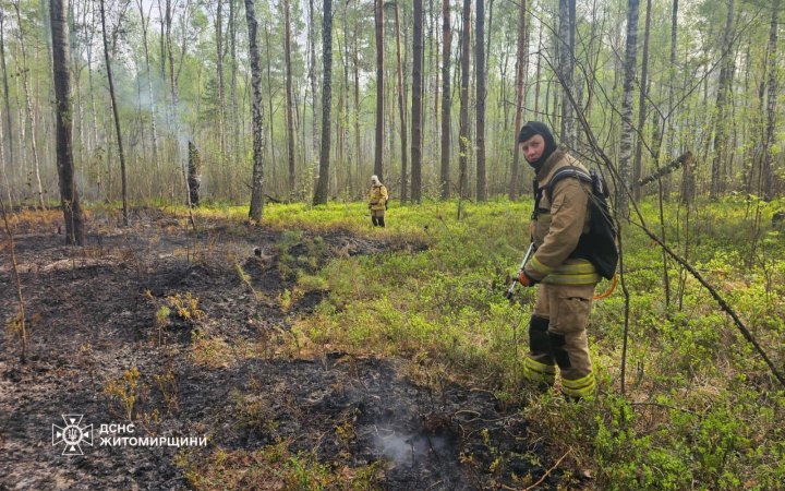 У чотирьох областях України триває масштабне гасіння лісових пожеж на площі понад 2 тис. га — ДСНС