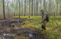 У чотирьох областях України триває масштабне гасіння лісових пожеж на площі понад 2 тис. га — ДСНС