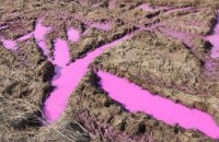 Возле Ровно появились лужи с розовой водой (обновлено)