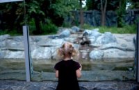 Психологов в школах и садиках научат работать с аутистами