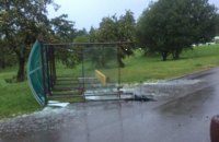 В Минске сильный ветер повалил остановку, пострадали три человека
